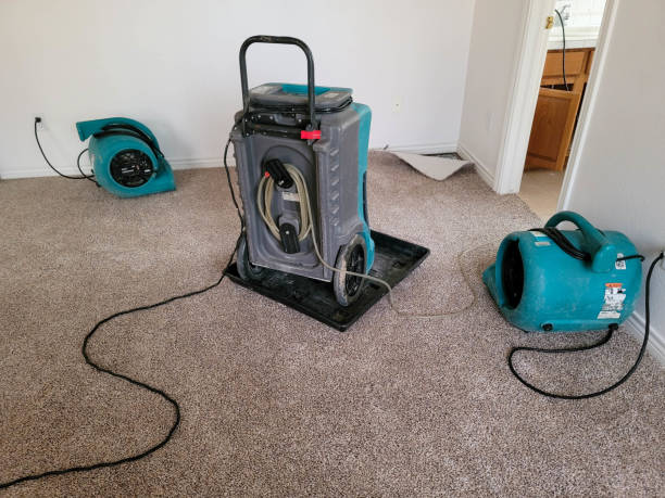 Best Professional water damage repair  in Norwood, PA