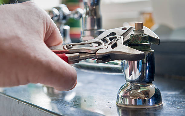 Best Mold removal after water damage  in Norwood, PA
