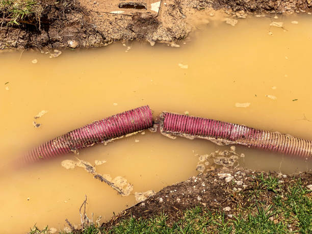 Best Water damage restoration near me  in Norwood, PA